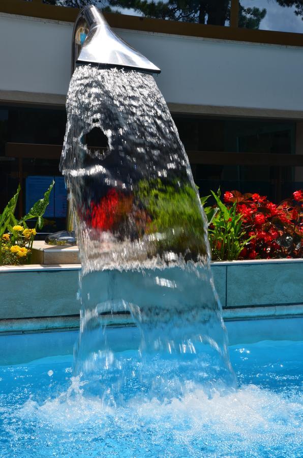 Hotel Rosen Garden Milano Marittima Esterno foto